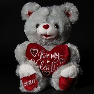 BE MY VALENTINES 2020 STUFFED BEAR - USED, LIKE NEW